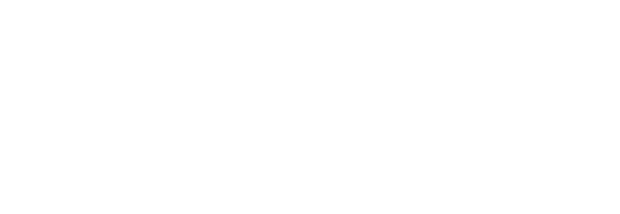 Broomling Official Logo - White