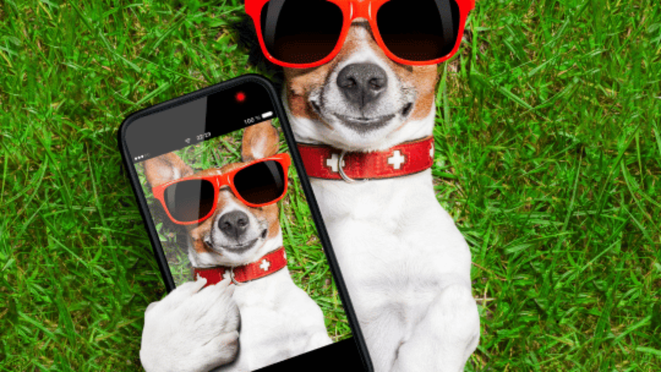 A Snapshot of Today's Digital World