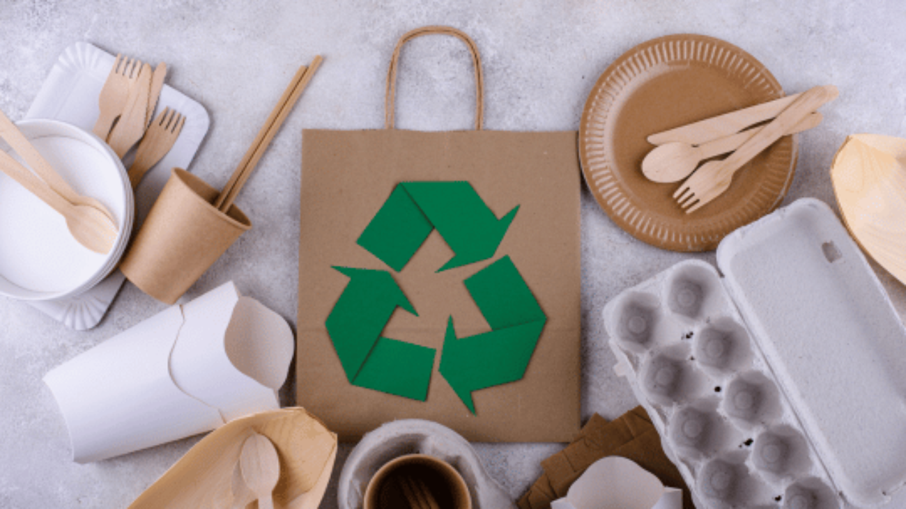 How Sustainable Packaging Transforms Brands into Eco-Friendly Icons
